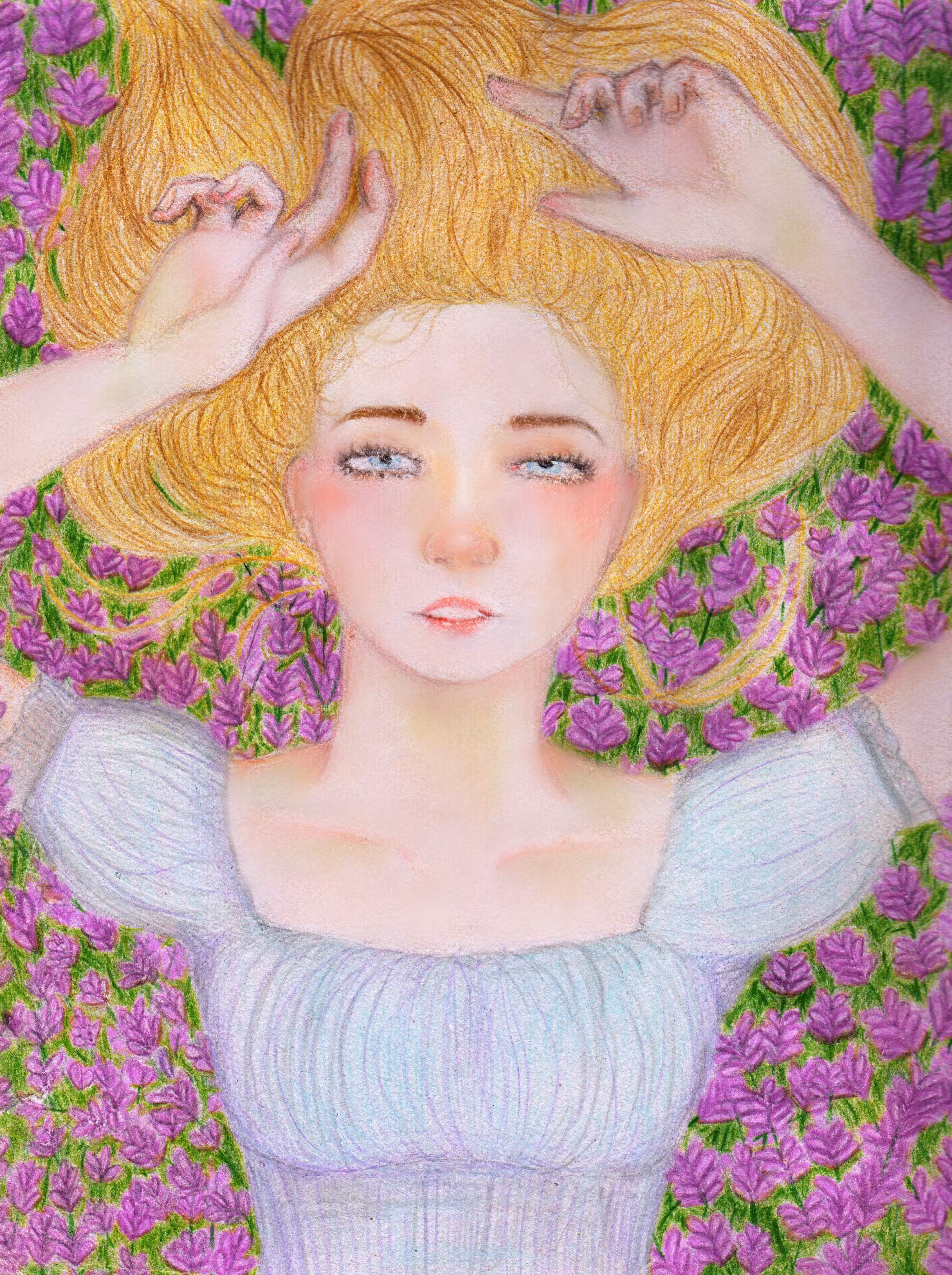 Fields of lavender