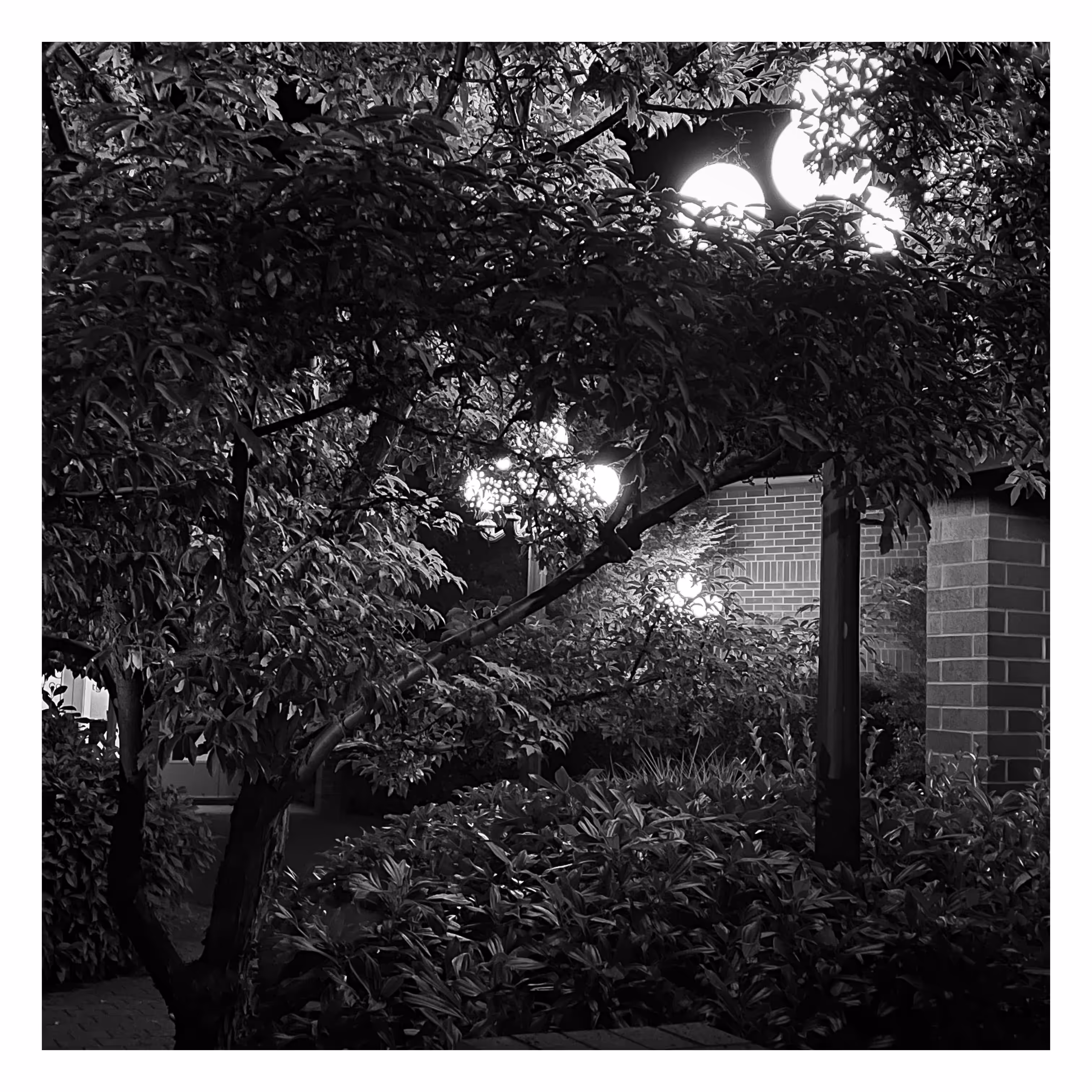 Stroll: July 18, 2023 • 1:17am
