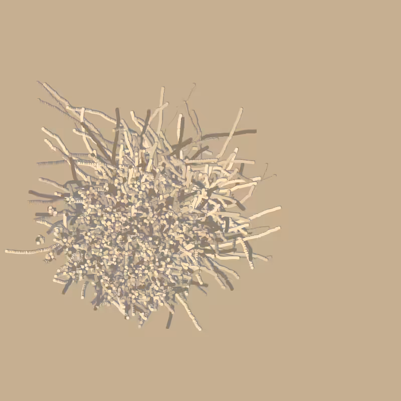 fibinous infection #58