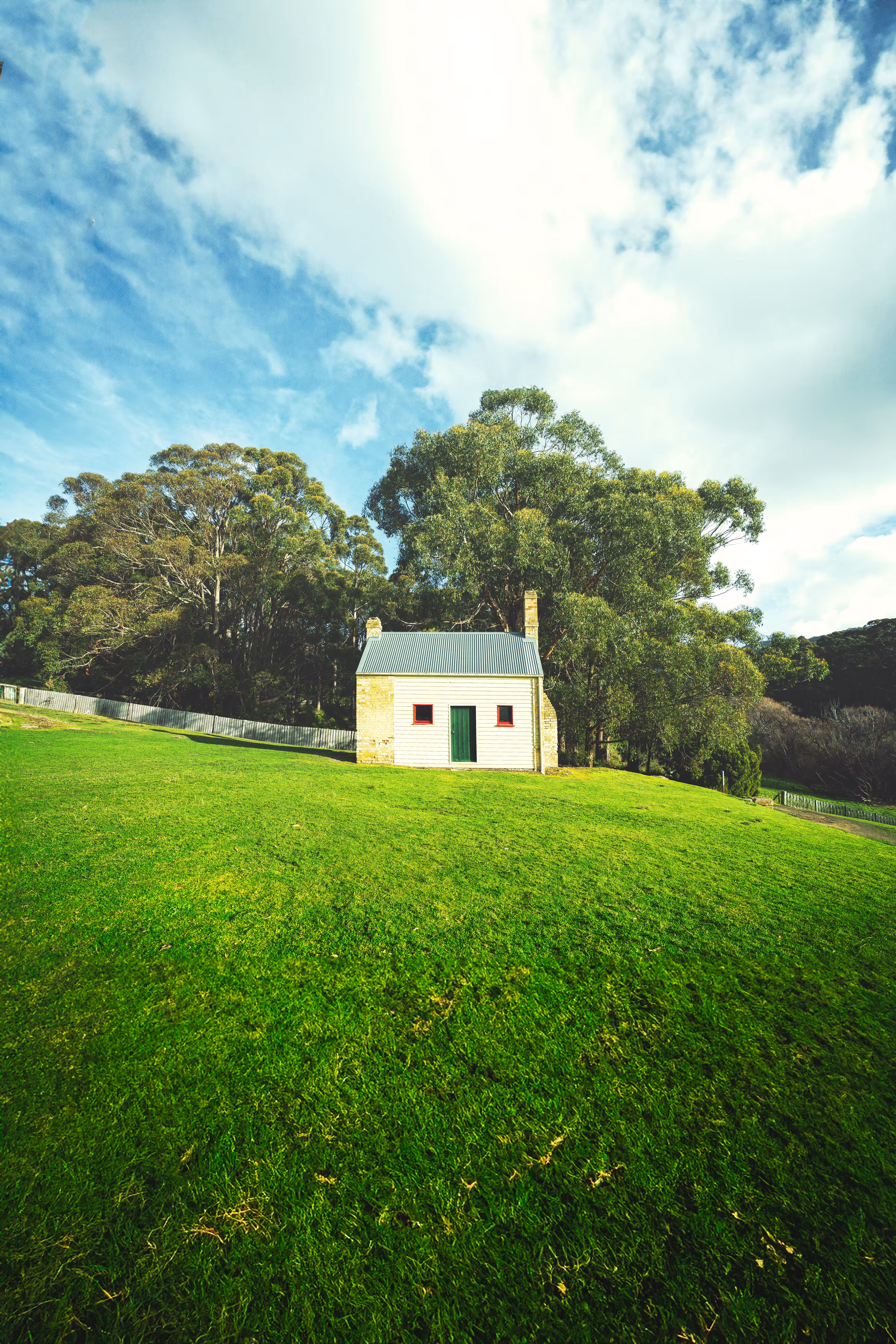 Echoes of Tasmania: Solitary Reflection
