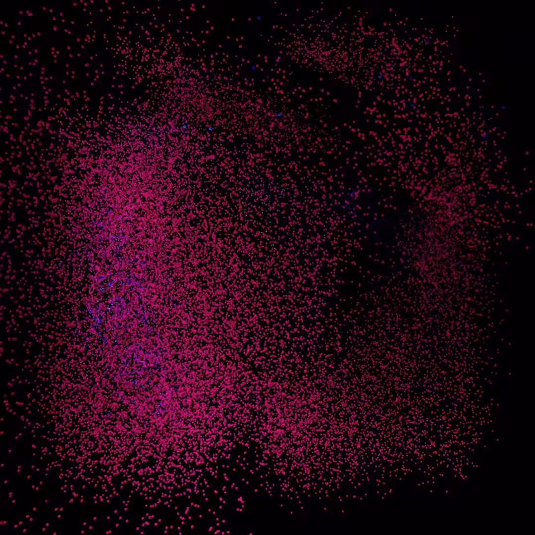 Convolutions 5