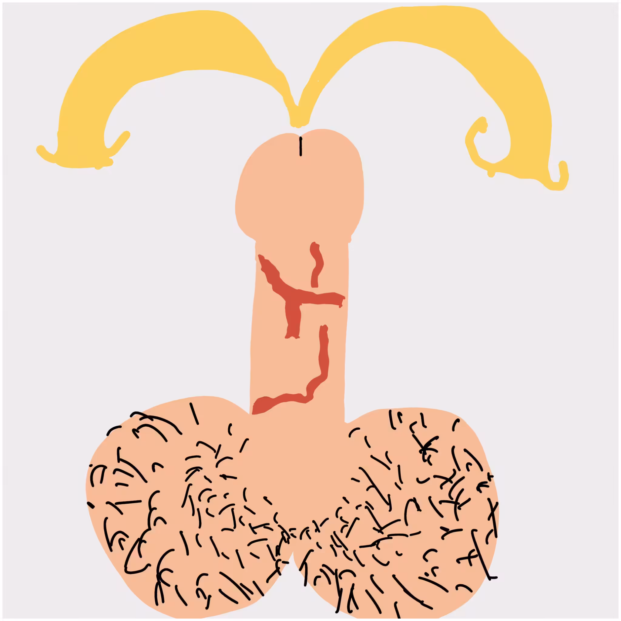 Dickgenerative Art #20