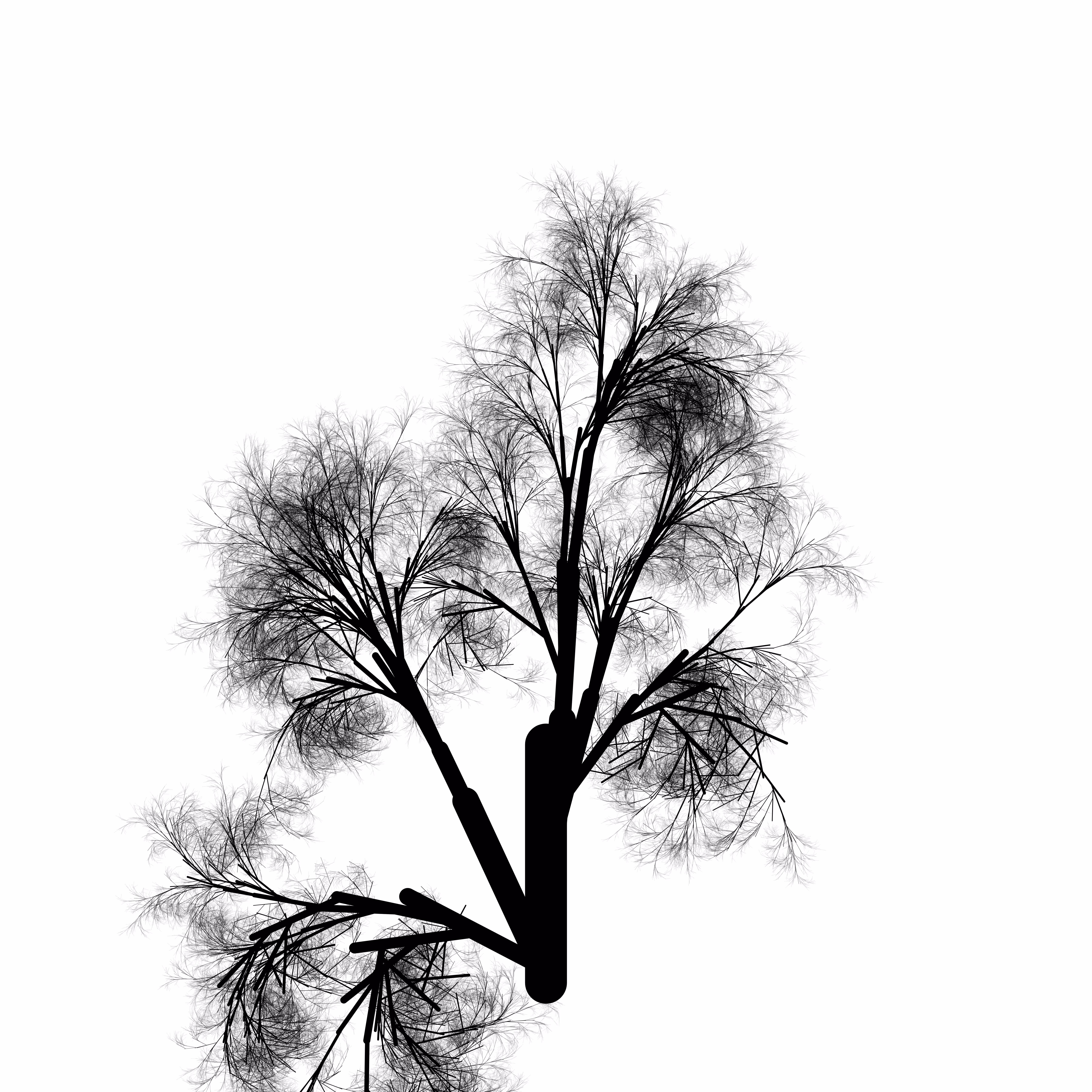 qTrees1 #107