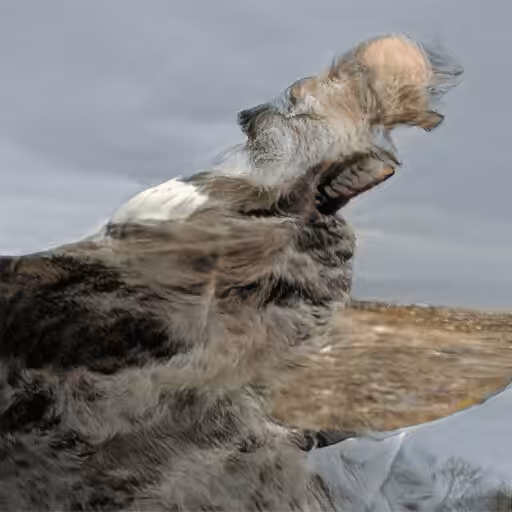 Old Man Yelling At the Wind