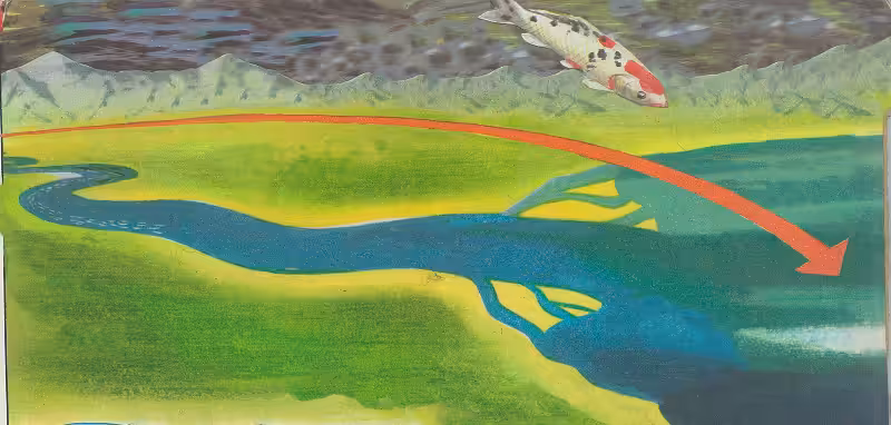 Migrations - From Nest to School  #8