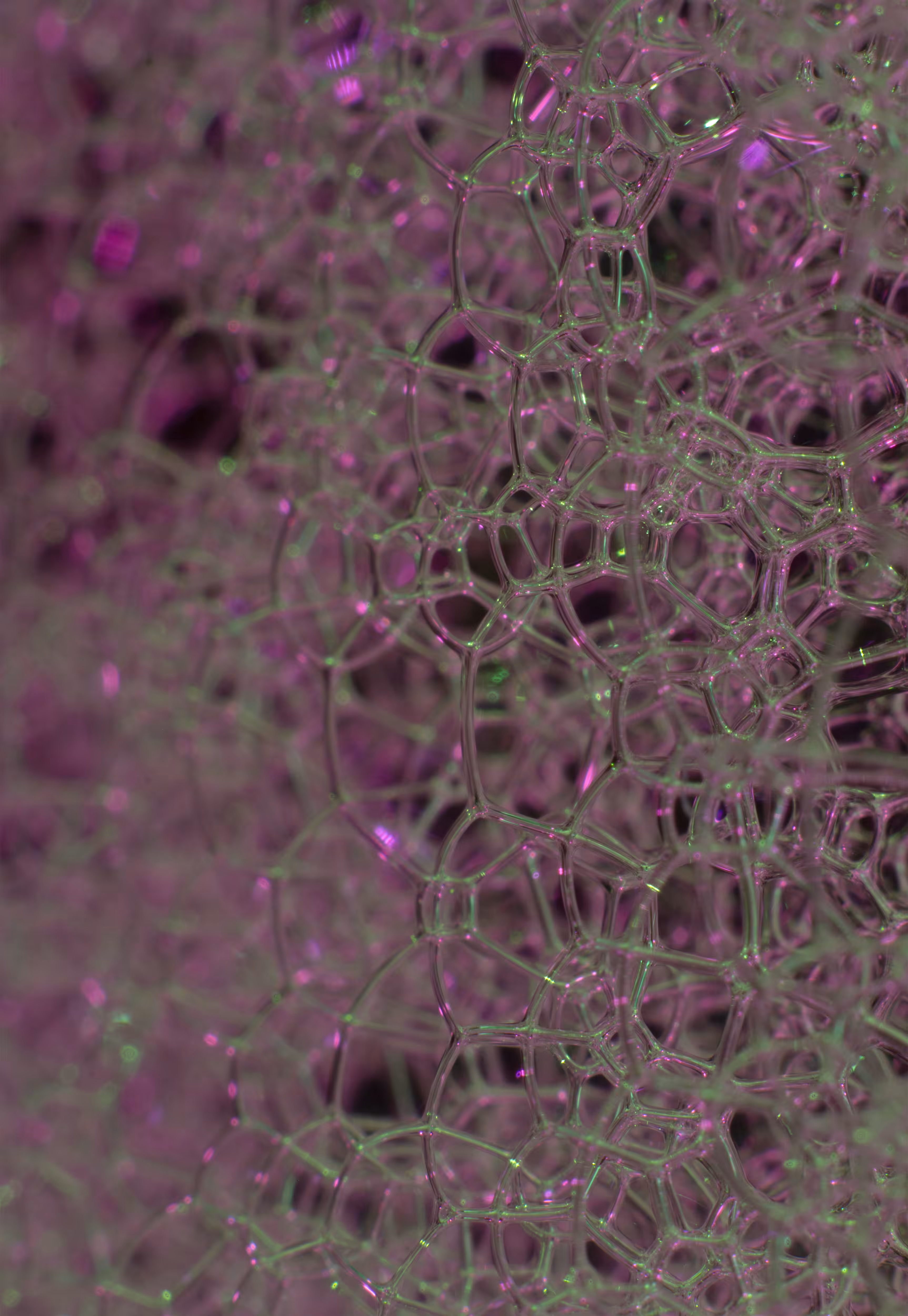 Abstract World of Soap Bubbles: #16 Bubbles