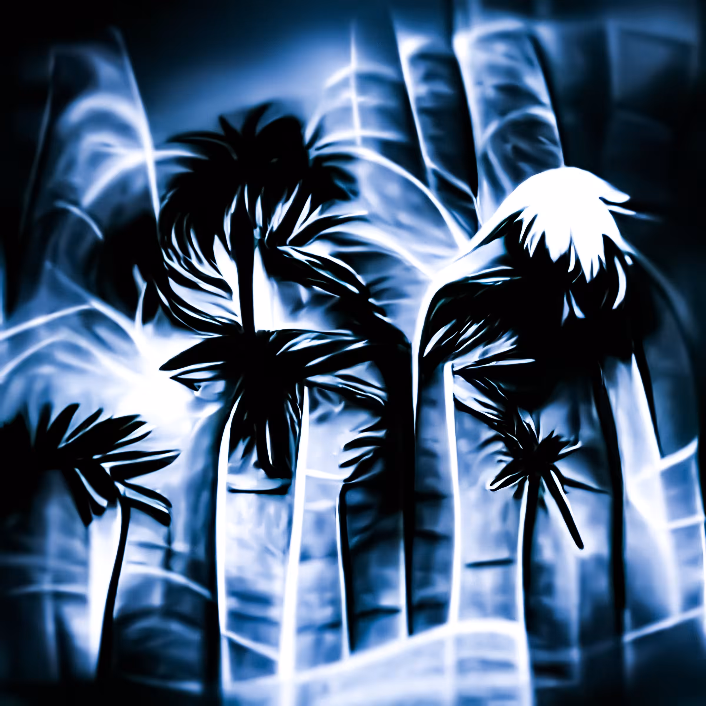 PALM INSOMNIA