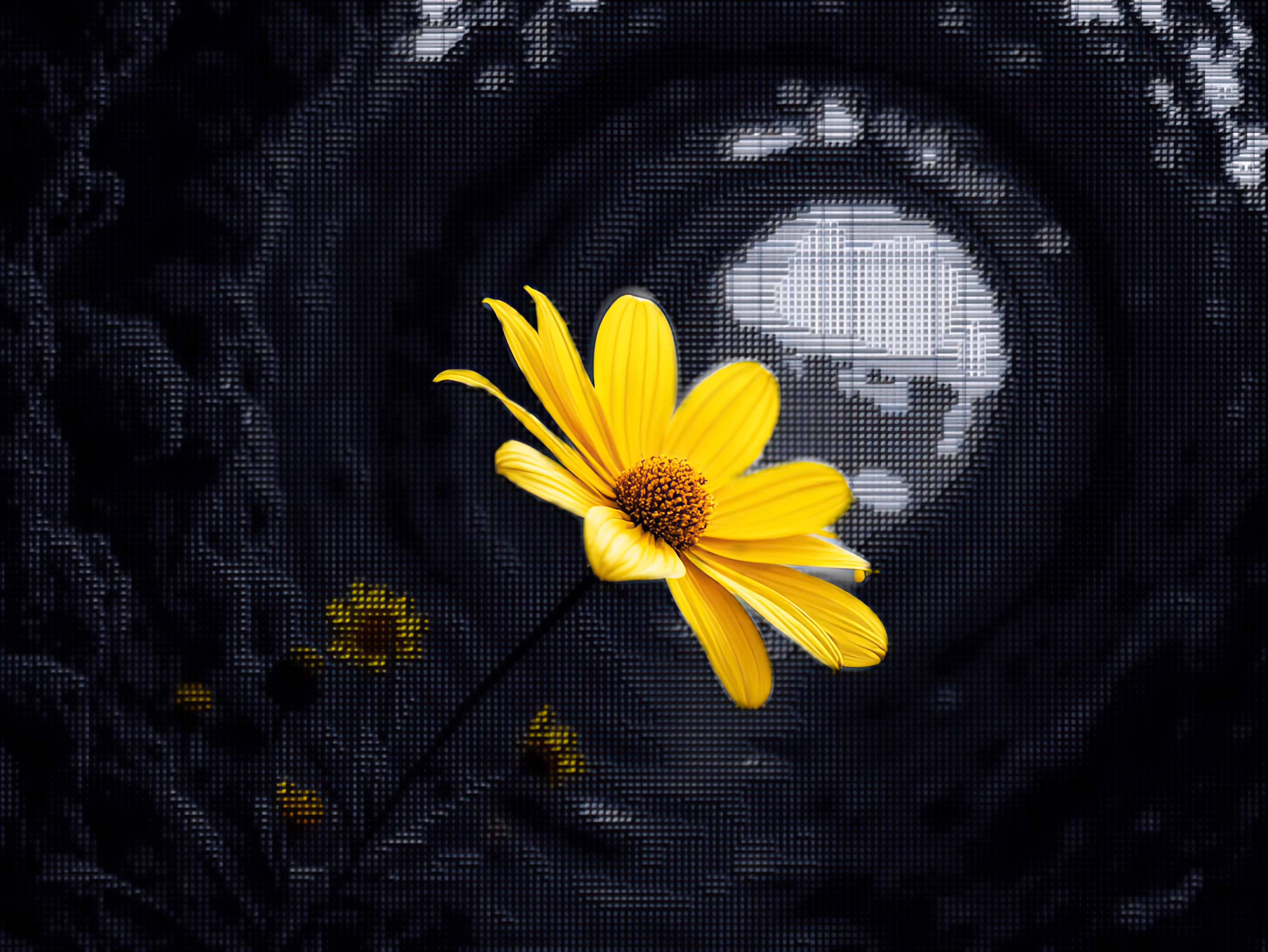 Radiance