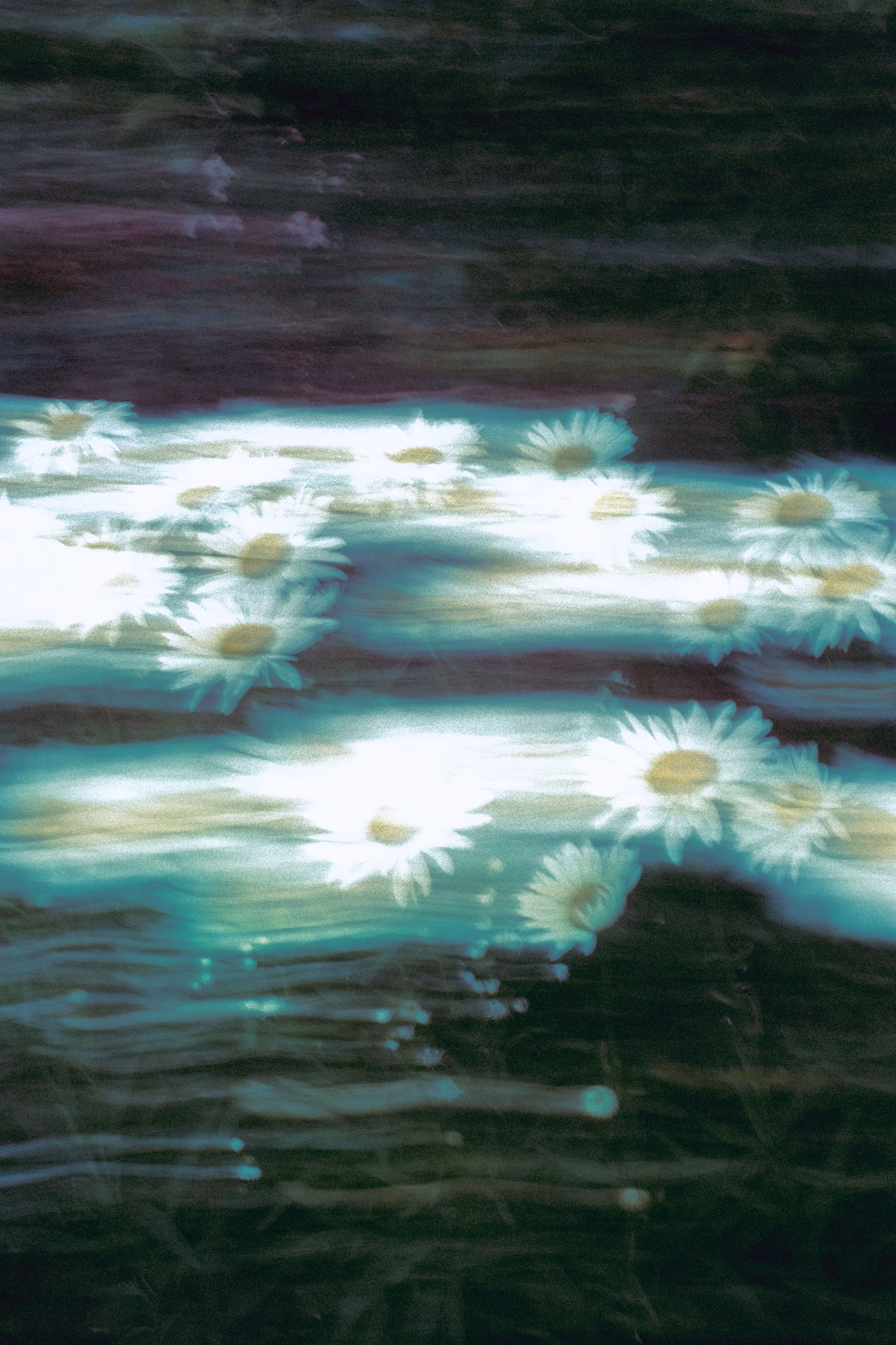 Flowers in the wind 