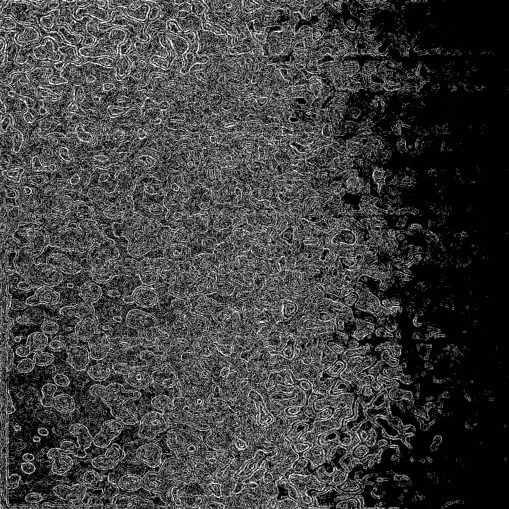 Noise #939 
