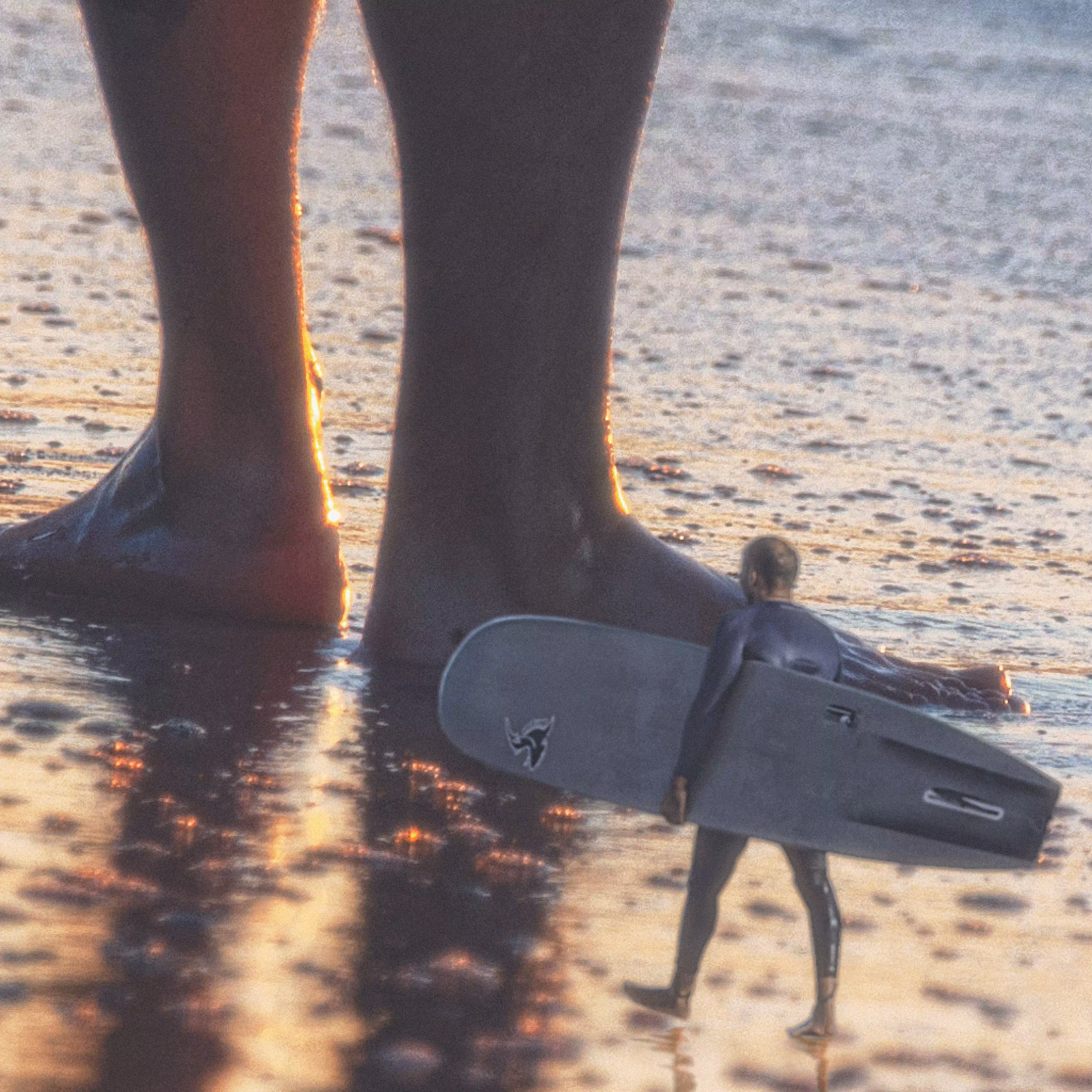 Surf's Up