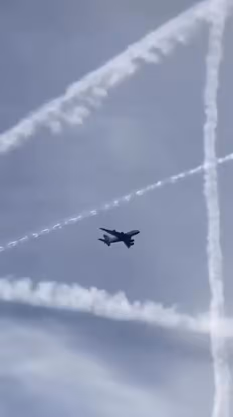 Forecast Loops: Story 102