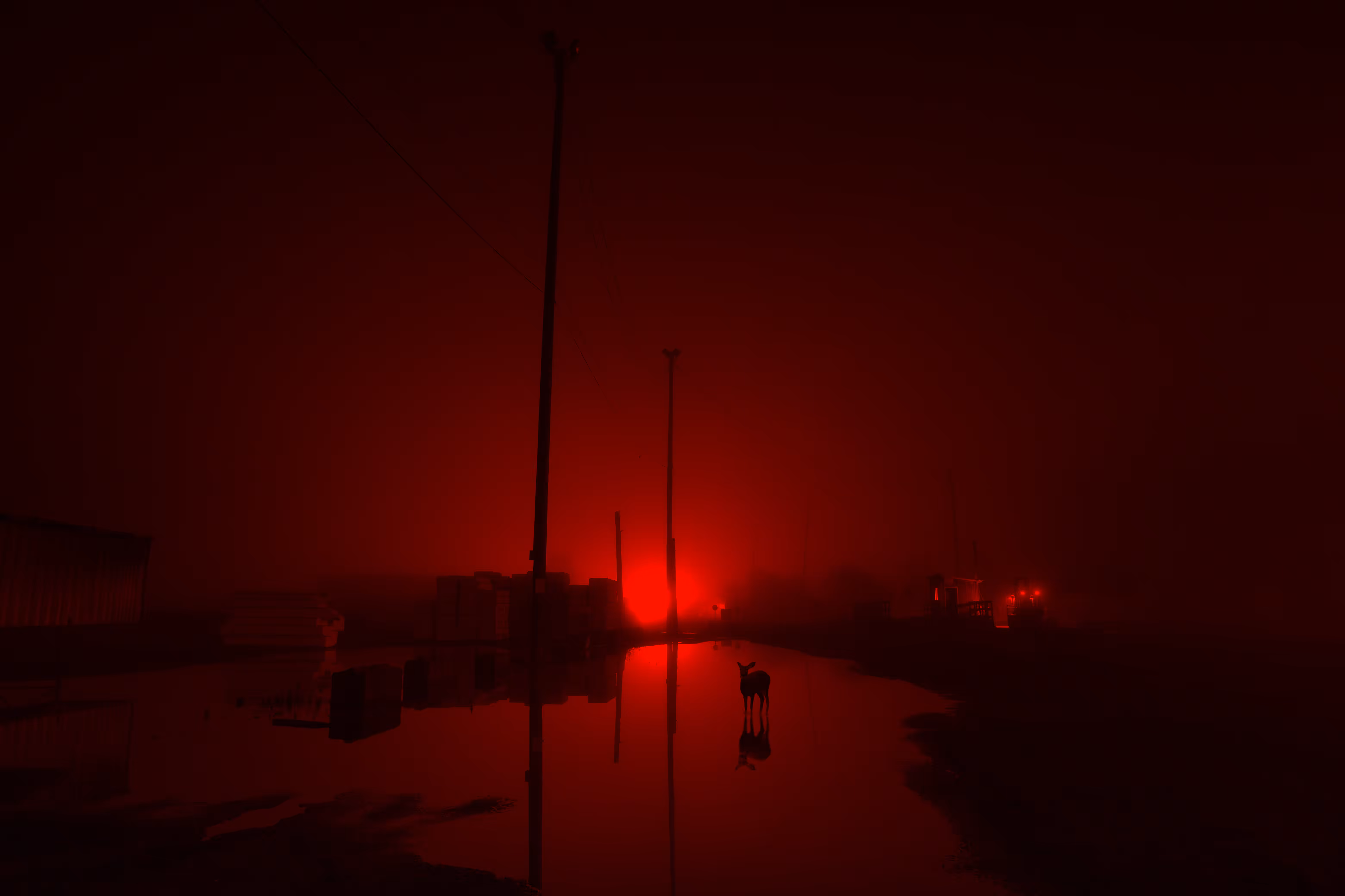 early in the morning