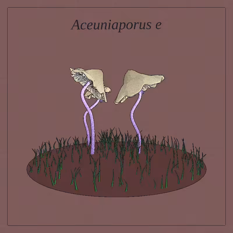 SHROOMS 3D #76