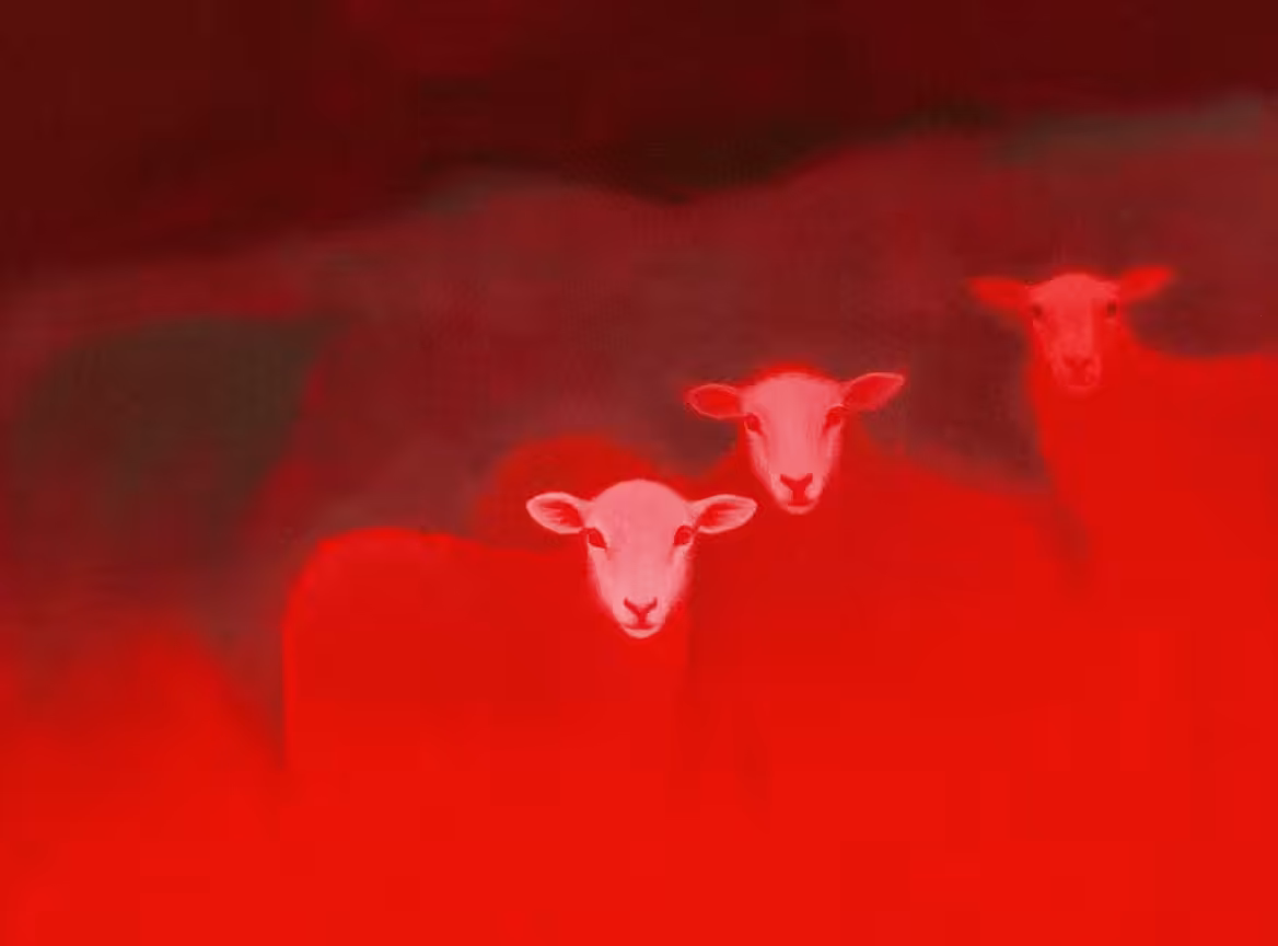 the parable of the lost sheep
