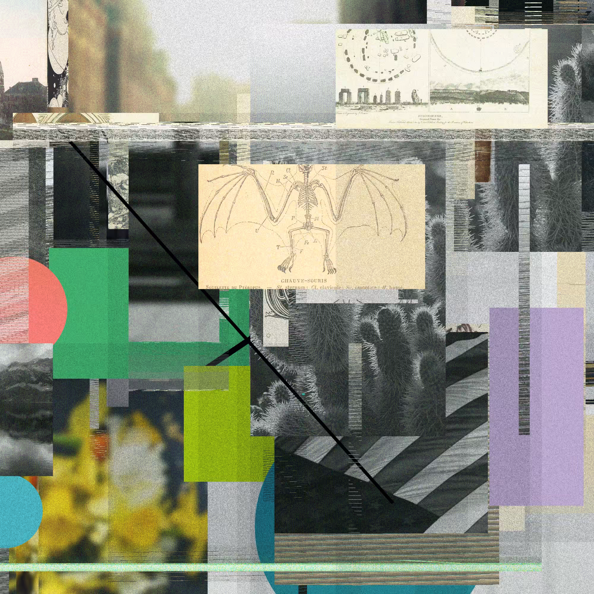 Unconscious Collages #1593