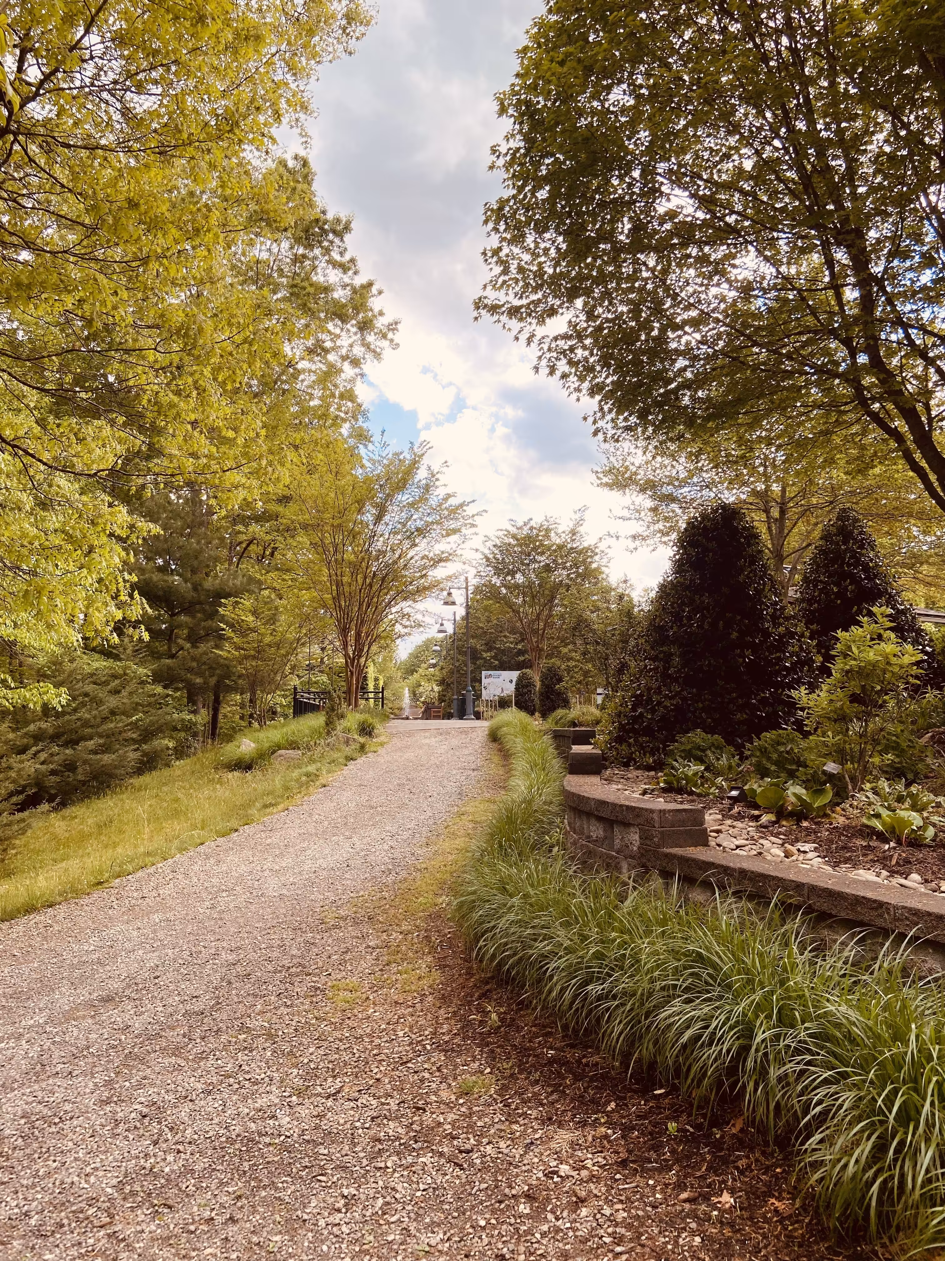 A walk in the park
