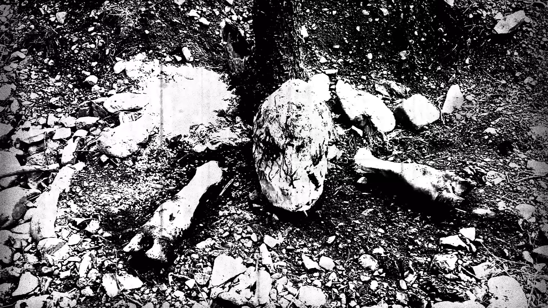 A grim intimation of what is to be