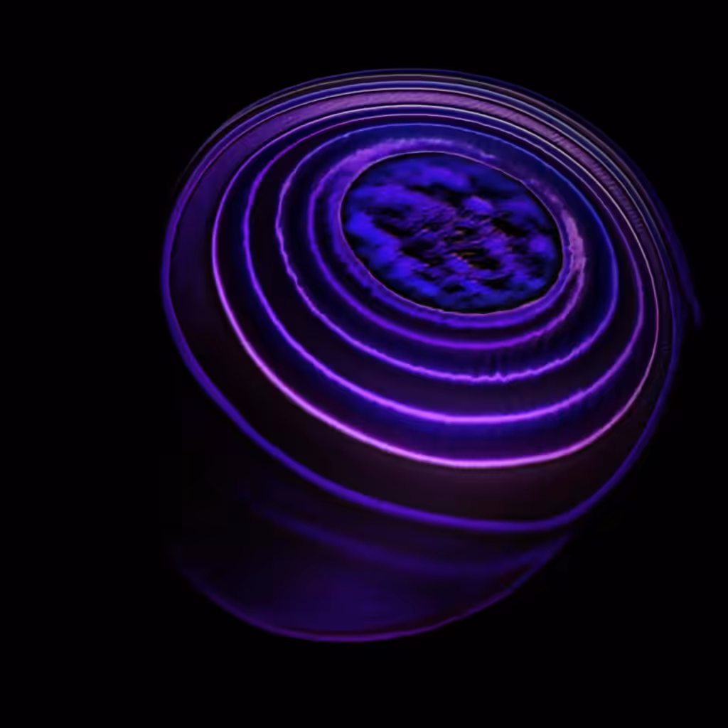 The embryo of the sphere. V003