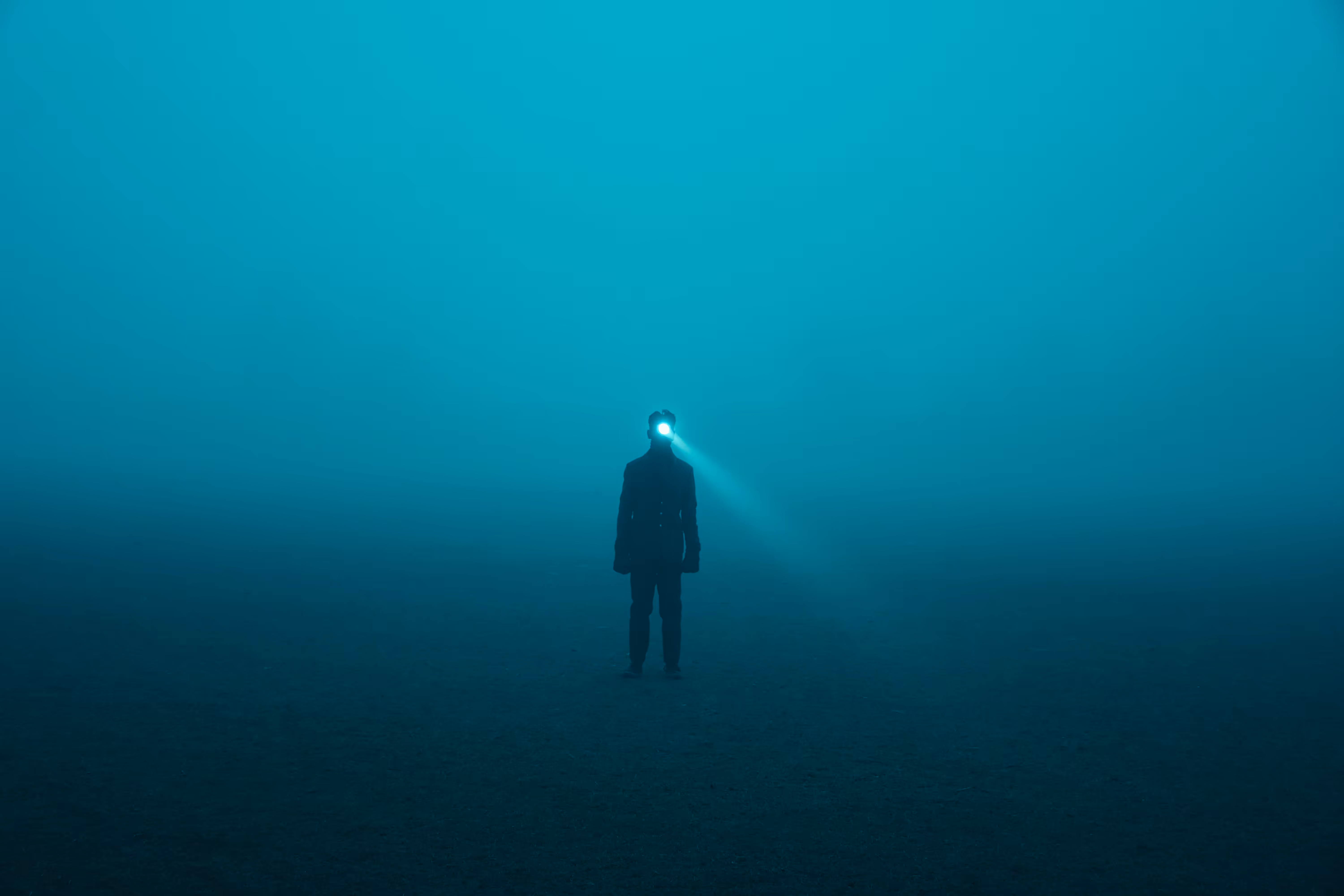 Wandering.. But Not Lost