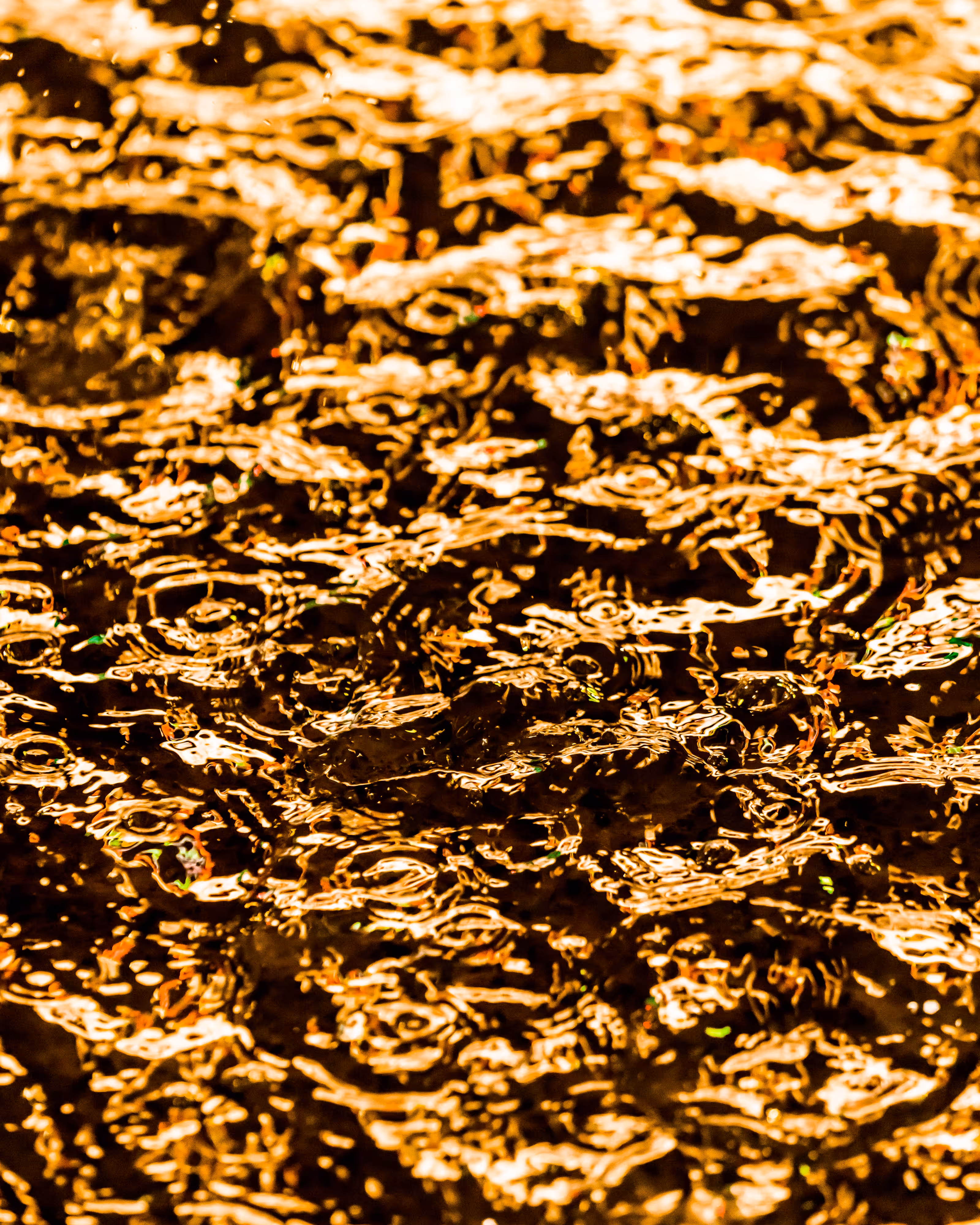 DRIP DROP: DRIP #135