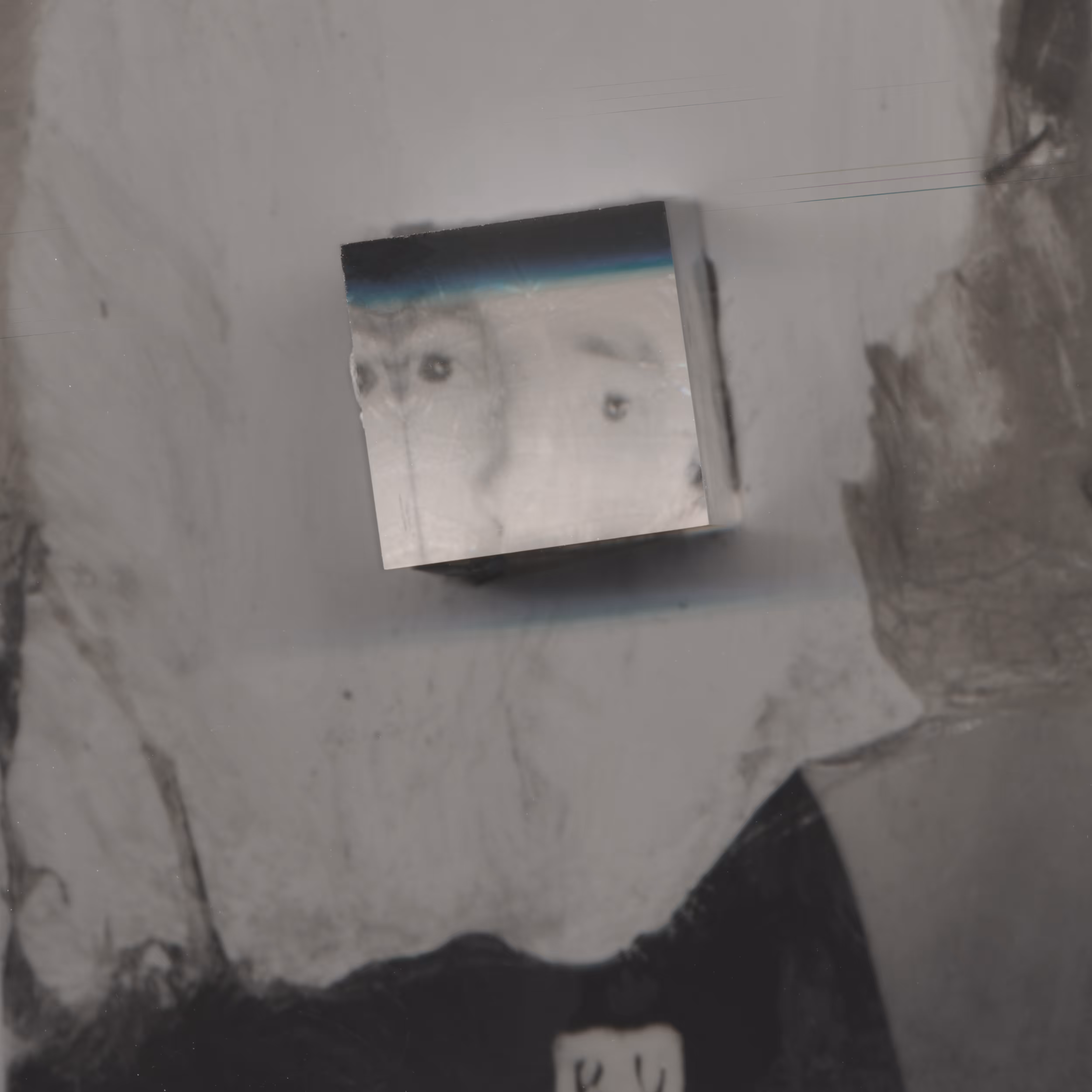 Notify felt (Privacy Portraits)