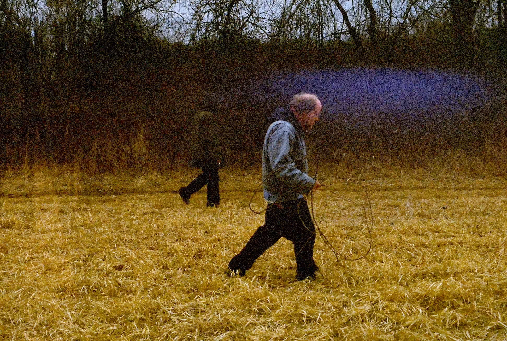 the wanderings