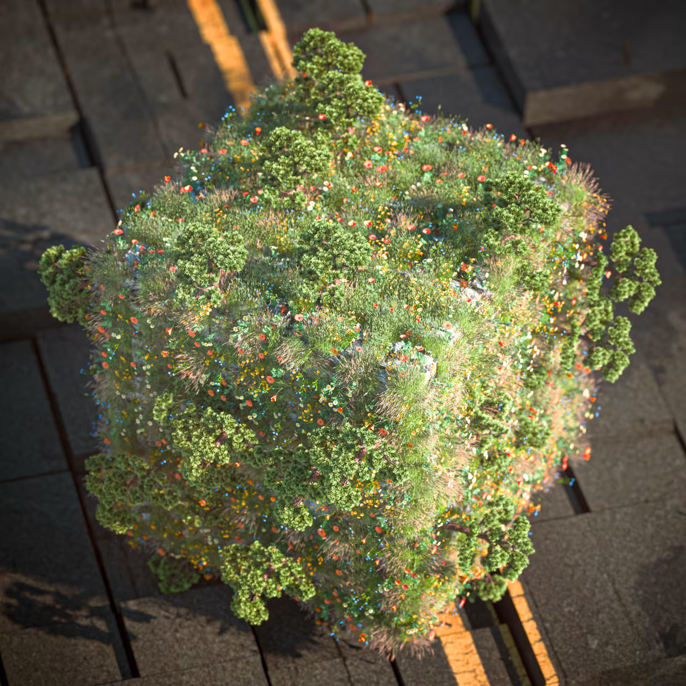 cubical garden (key)