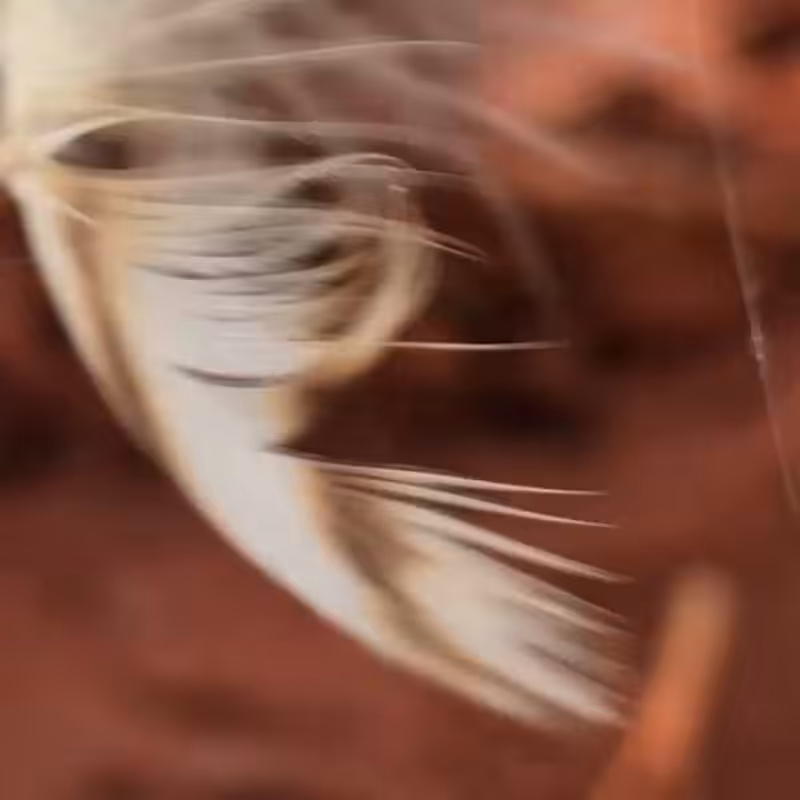 Teleport Loopr #23