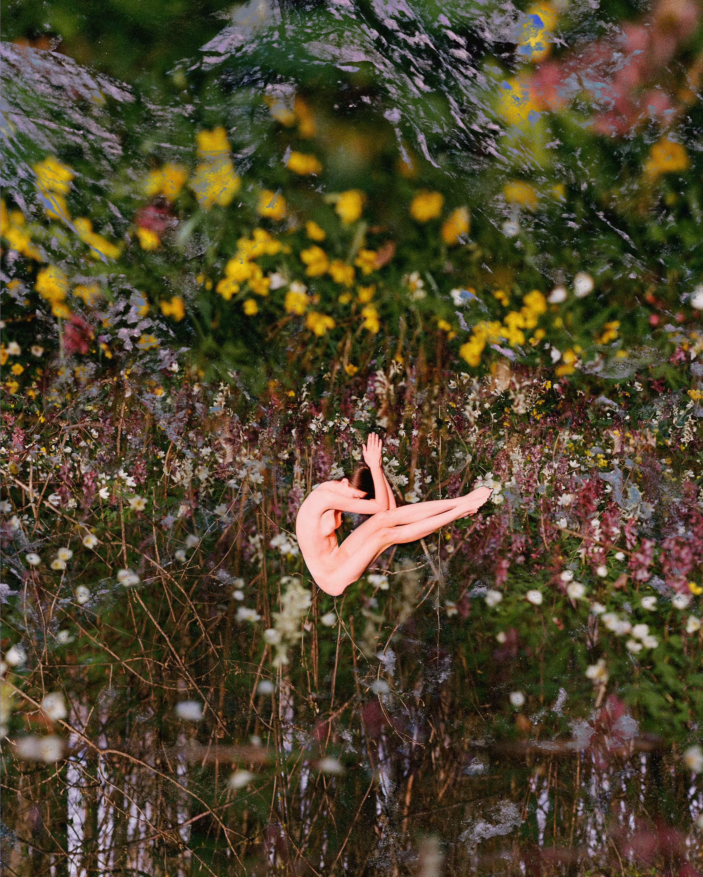 Flowermania #6