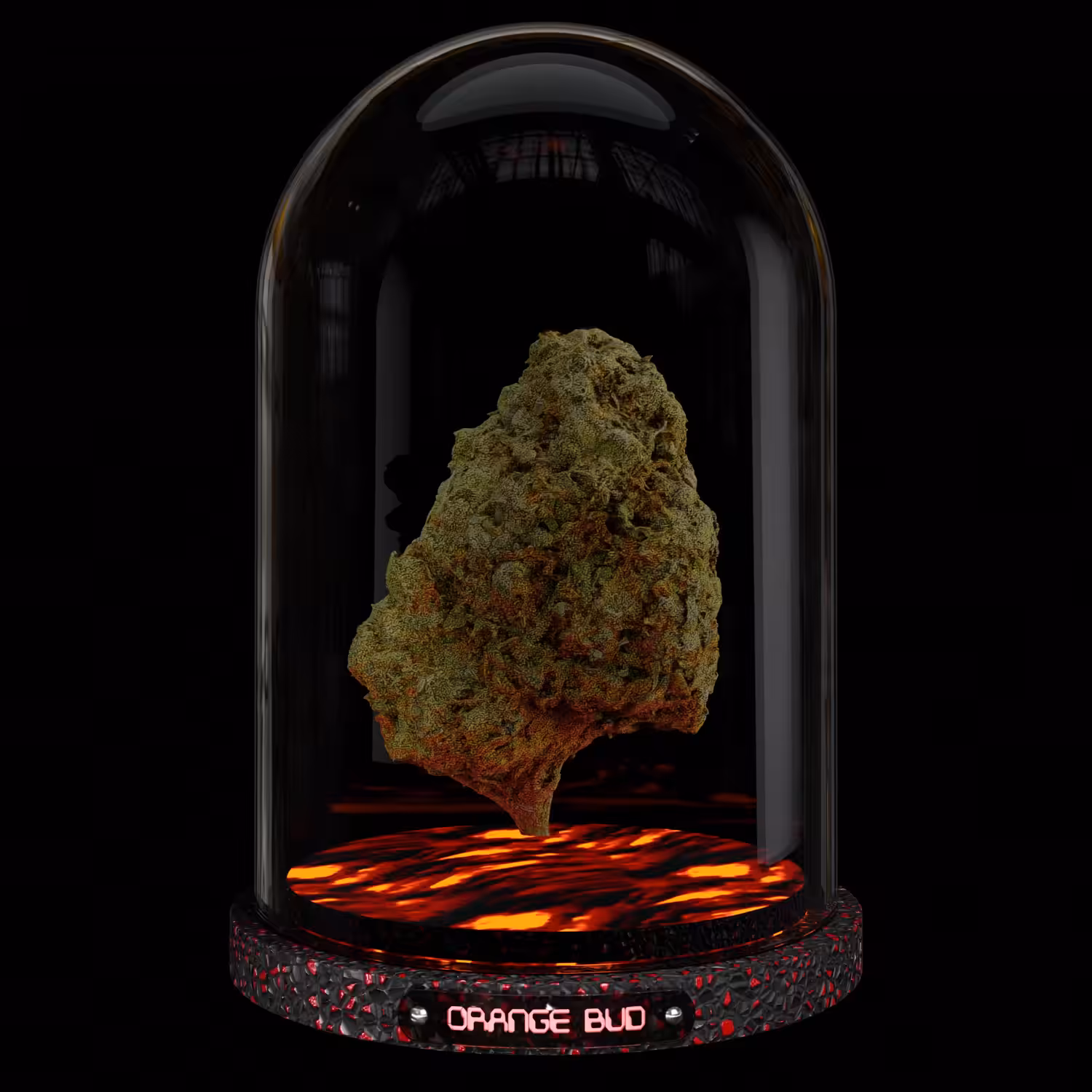 Orange Bud