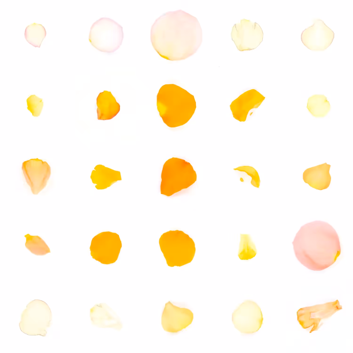 Infinite Petals 5x5#20566