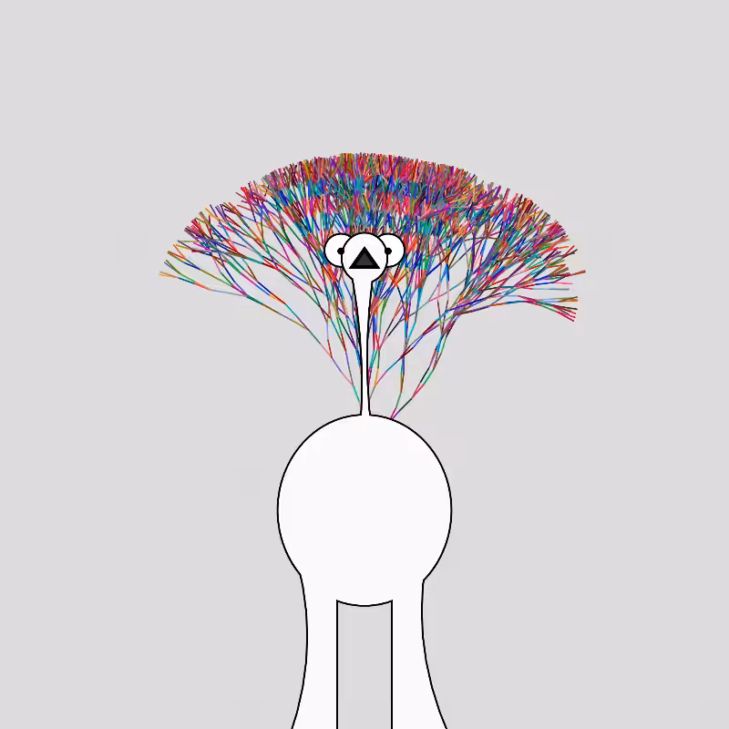 Peacocks #221