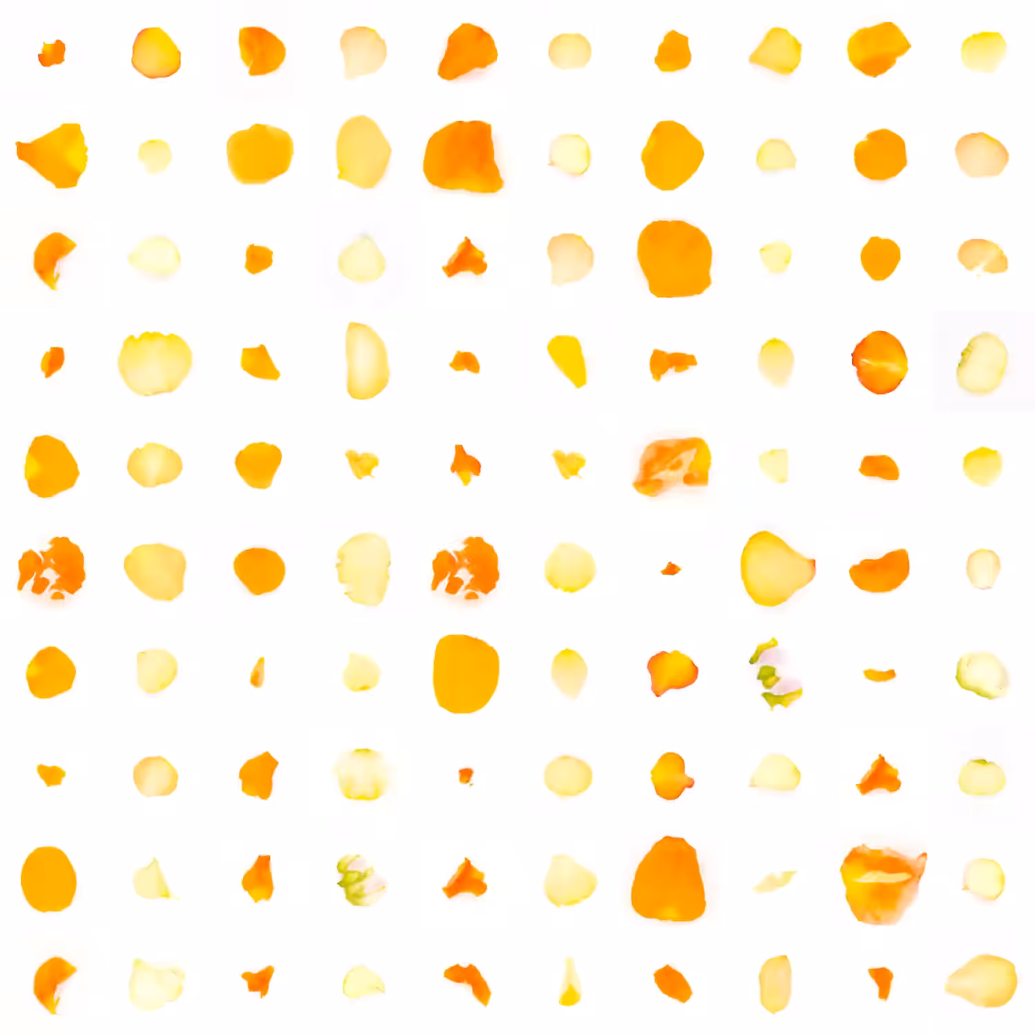 Infinite Petals 10x10#1301