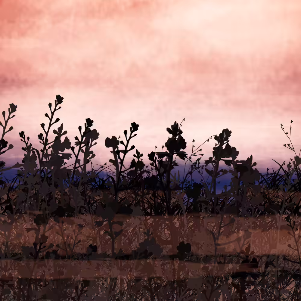 Walk in the field #56