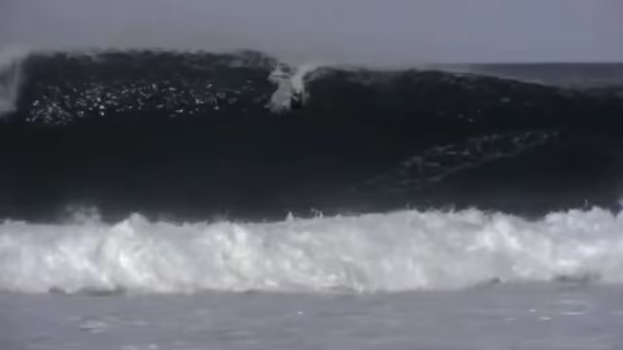 2011 Highlight Wave Of Career