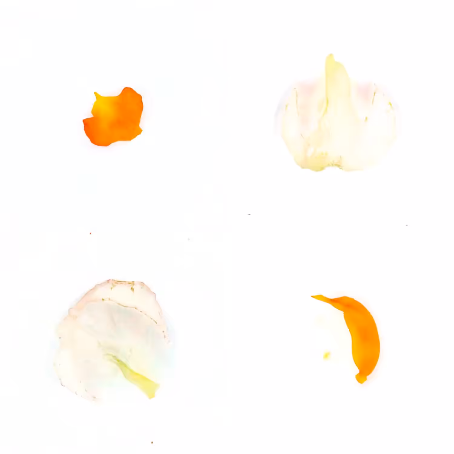 Infinite Petals 2x2#3579