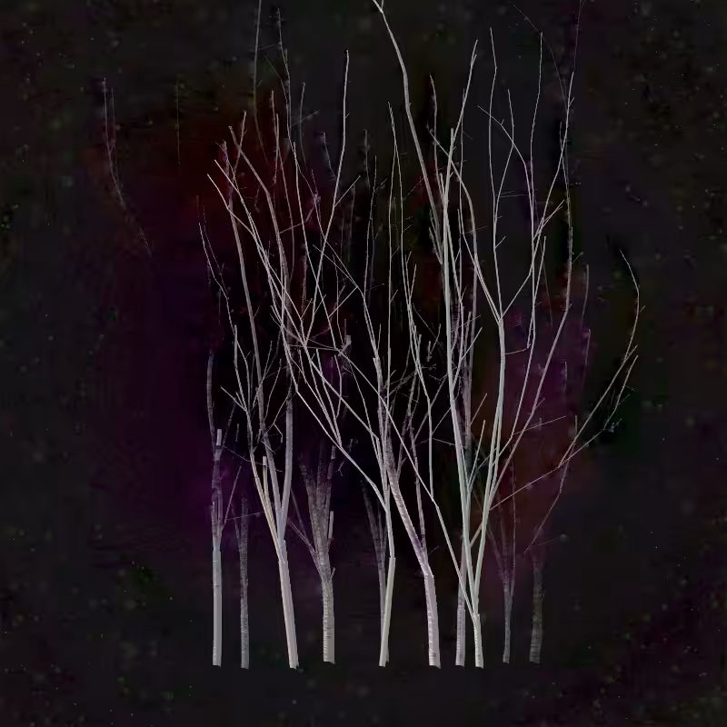 Grove #19
