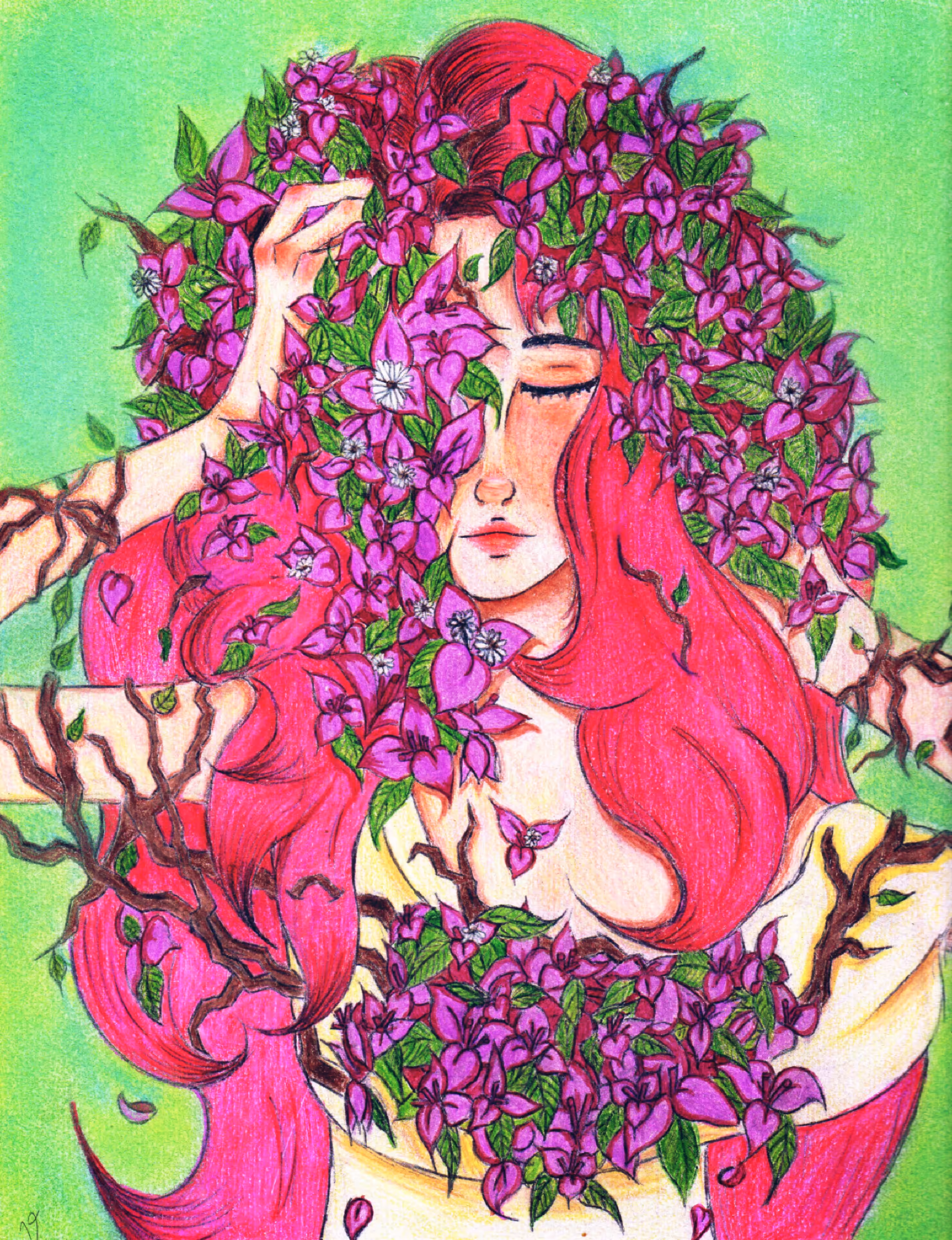 Bougainvillea