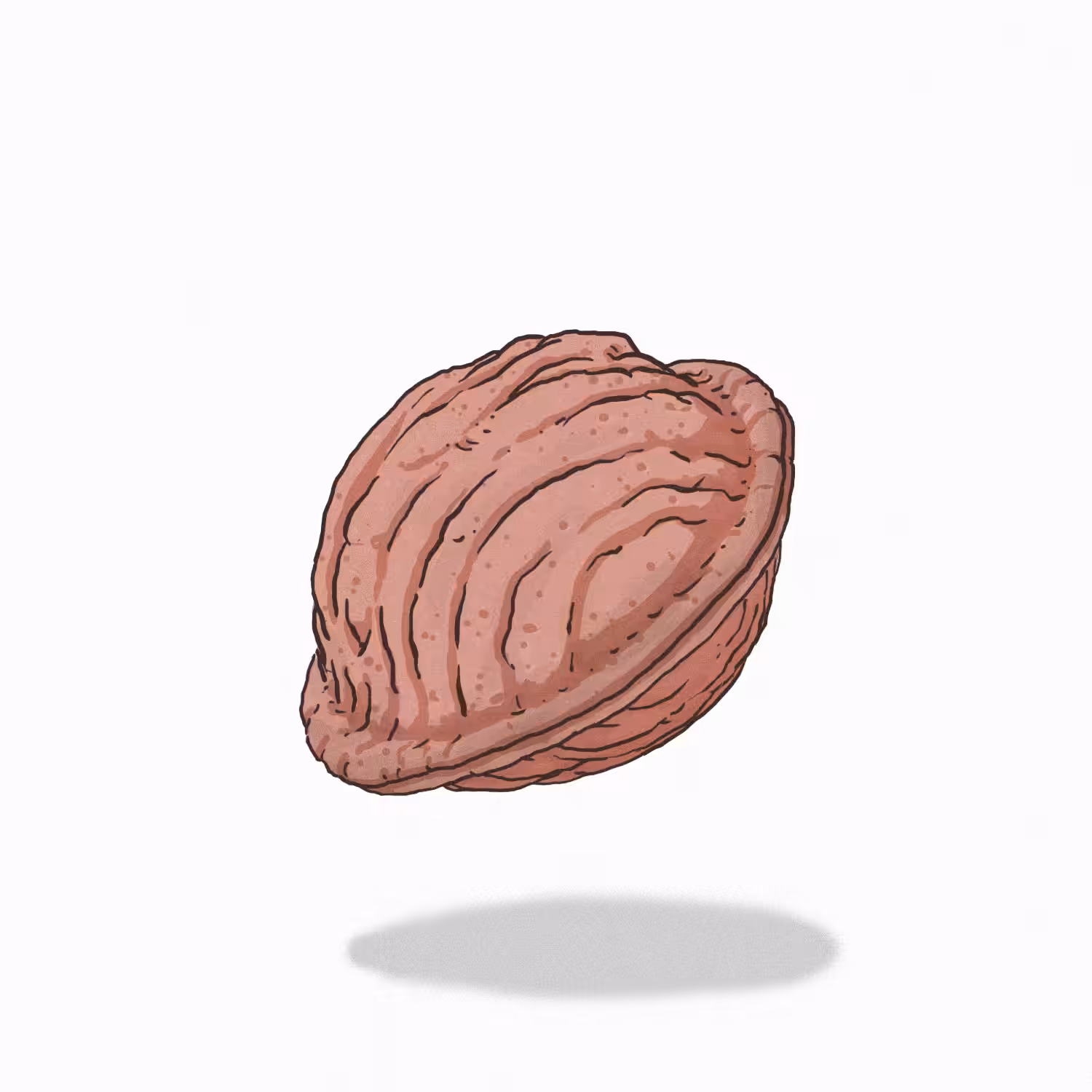 Cambiapelo fruit