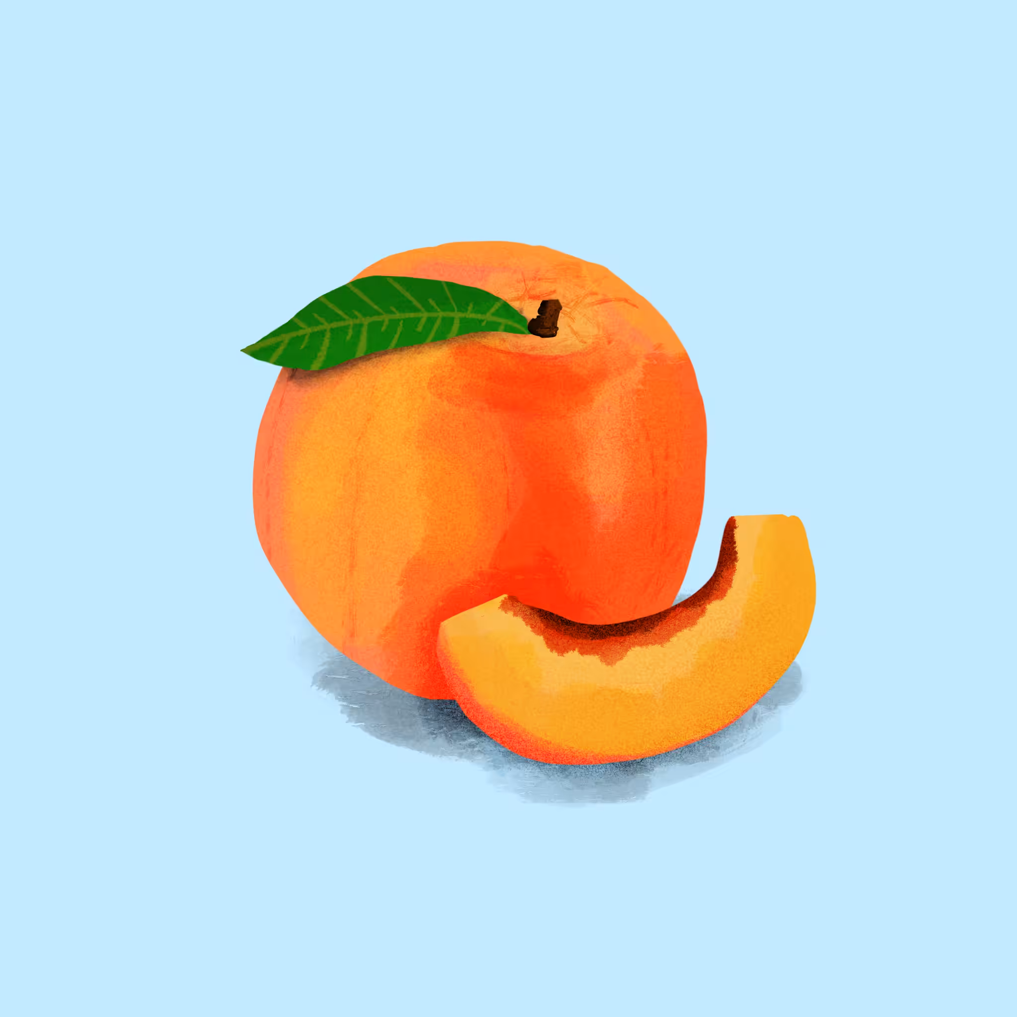 Perfectly Plump Peach Painting