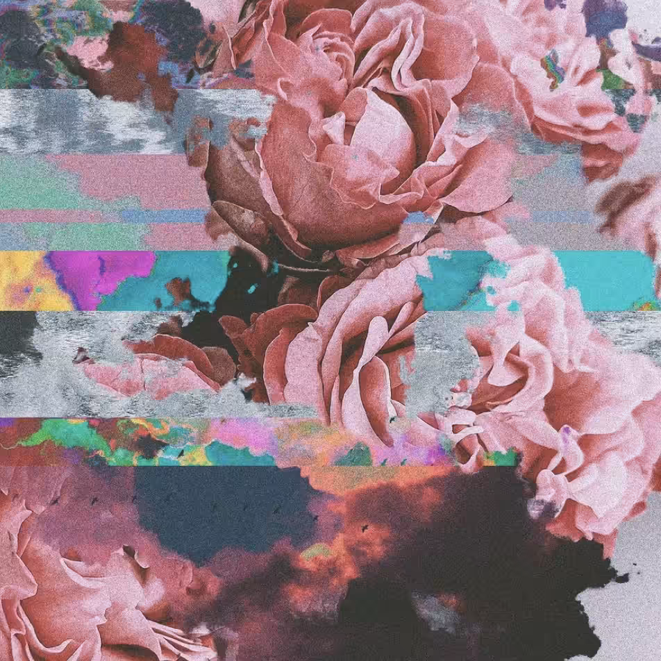 Solace