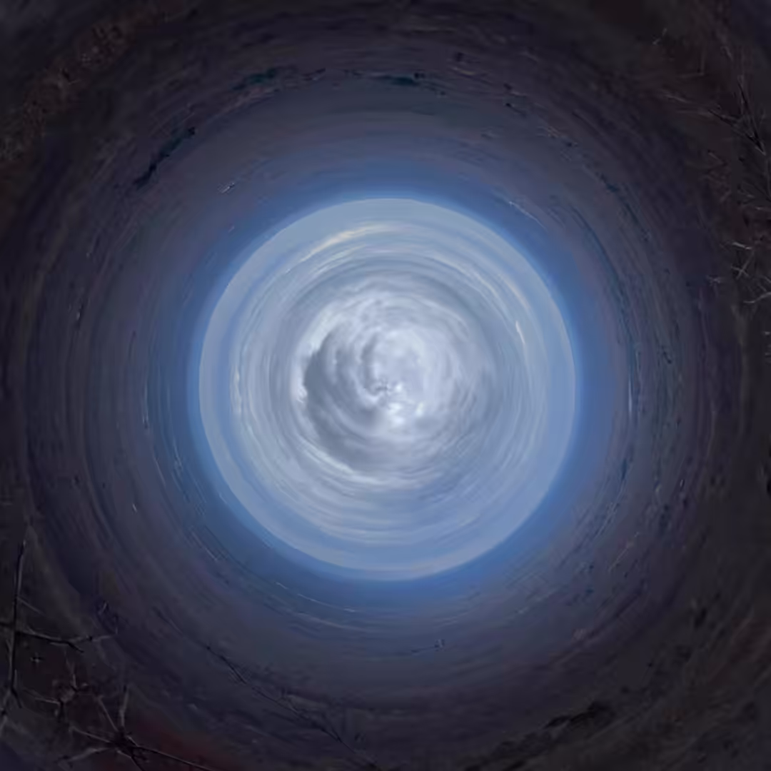 Gaia Viva #01