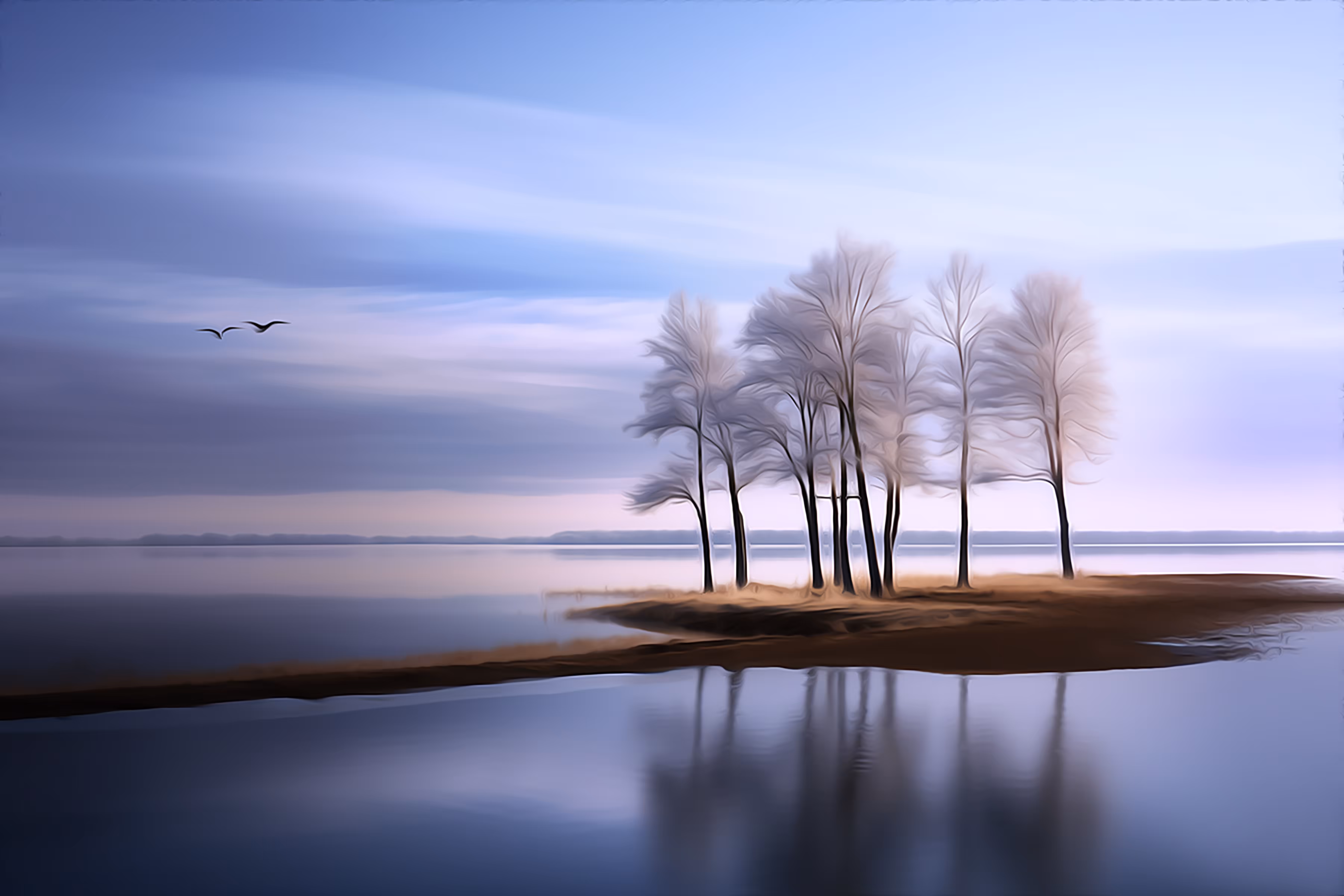 Scape 2