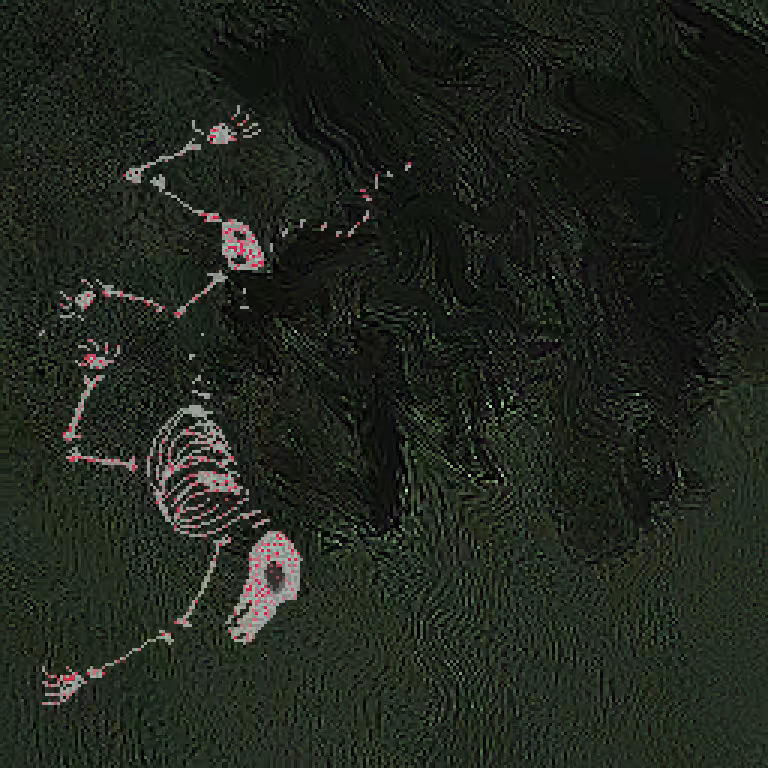 Dog skeleton