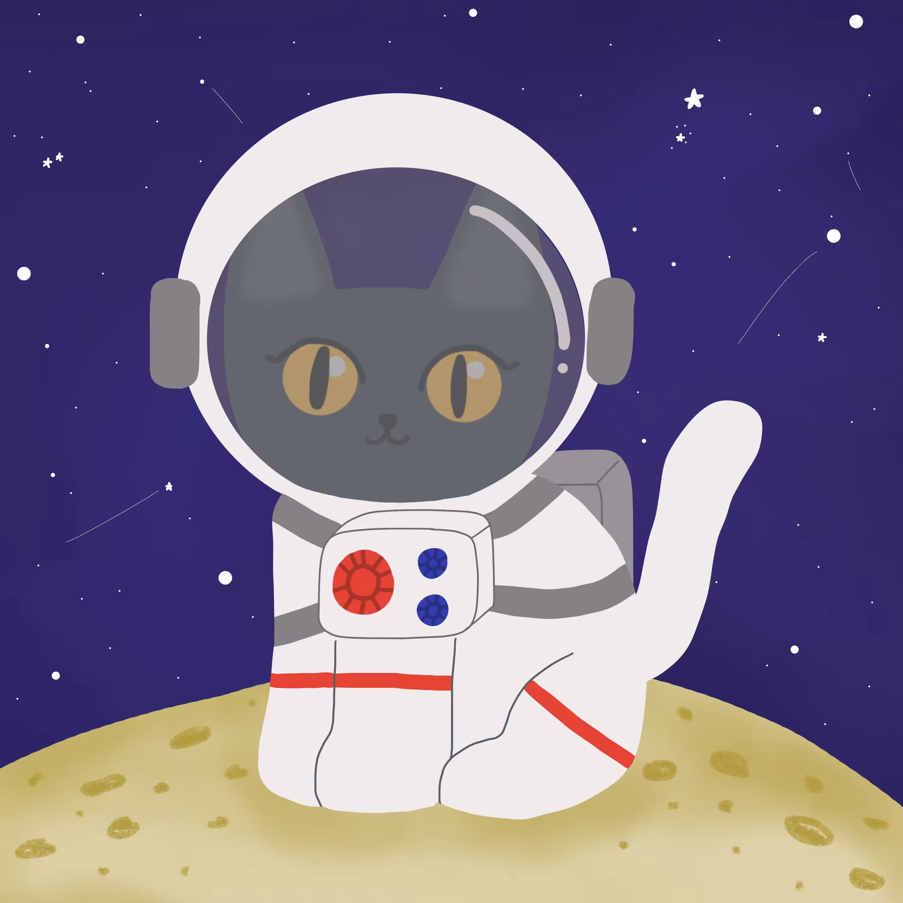 #011 Swat Cat