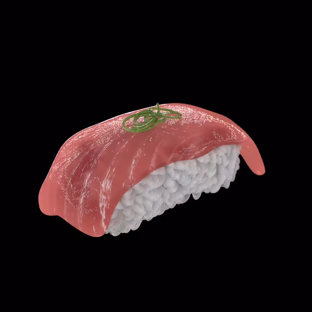 TORO NIGIRI #6