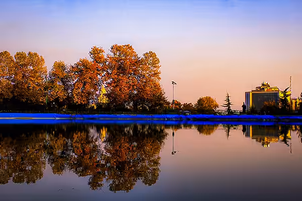Reflector of autumn rhythm