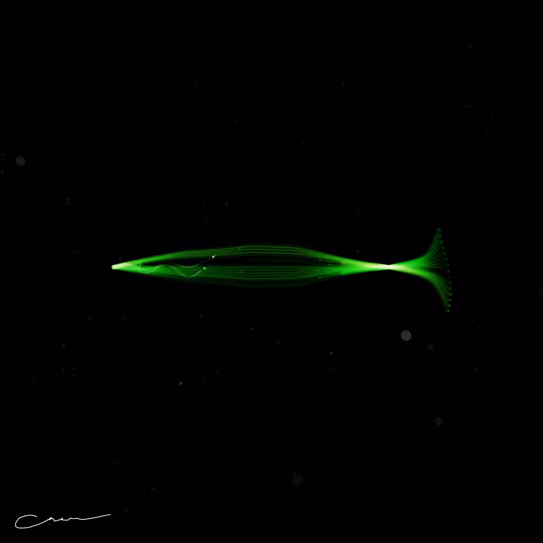SoulFish #251