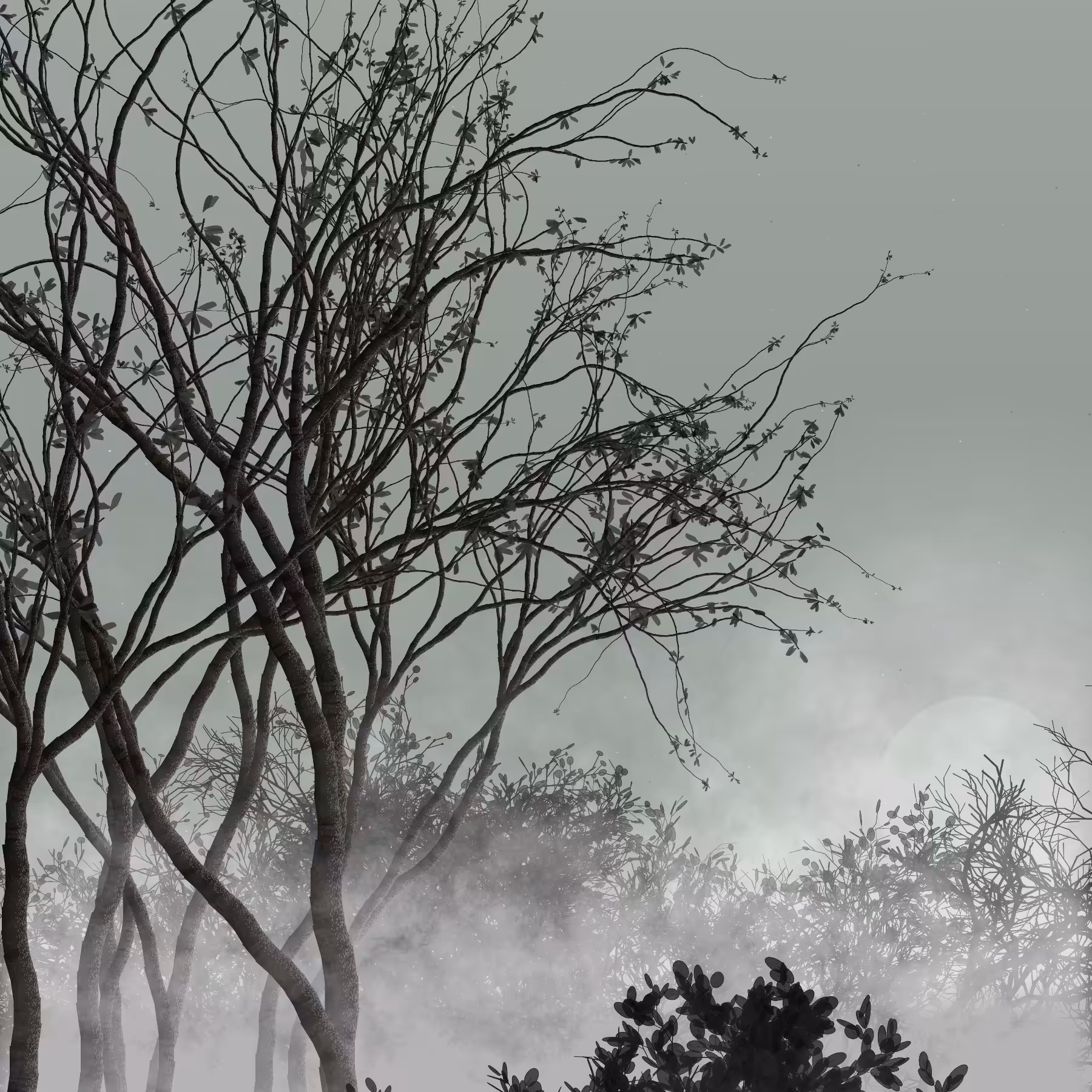 Morning Mist #121